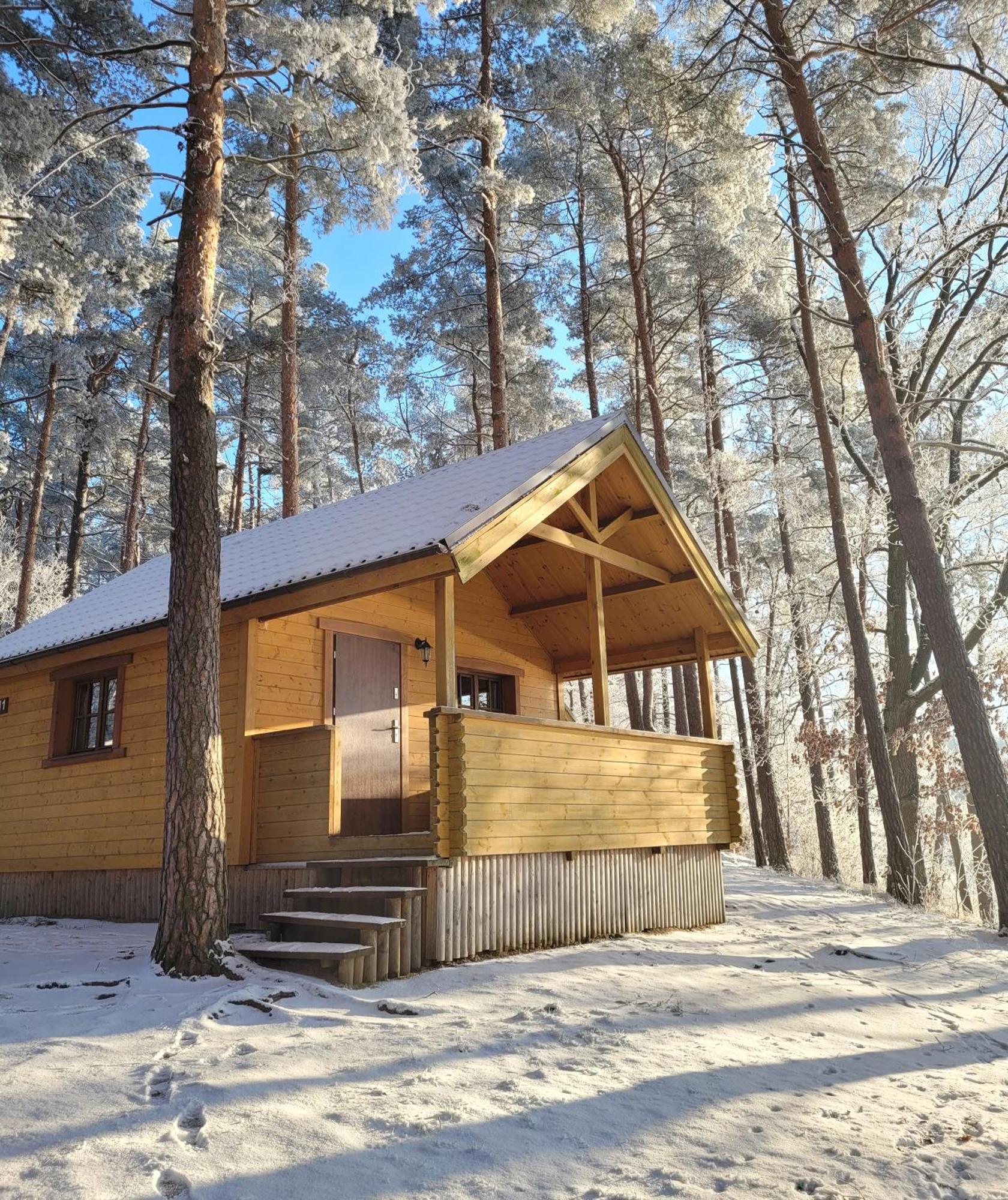 Polwysep Lipa Villa Вдзидзе Тухолксие Екстериор снимка