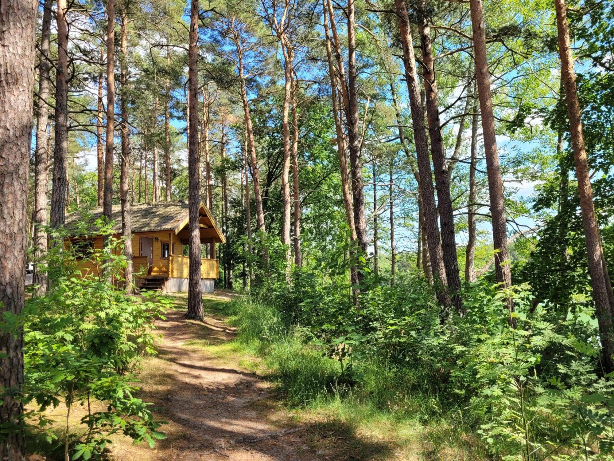Polwysep Lipa Villa Вдзидзе Тухолксие Екстериор снимка
